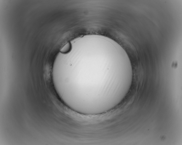 X0000097640038200803142057