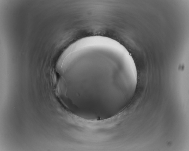 X0000097640039200803142057