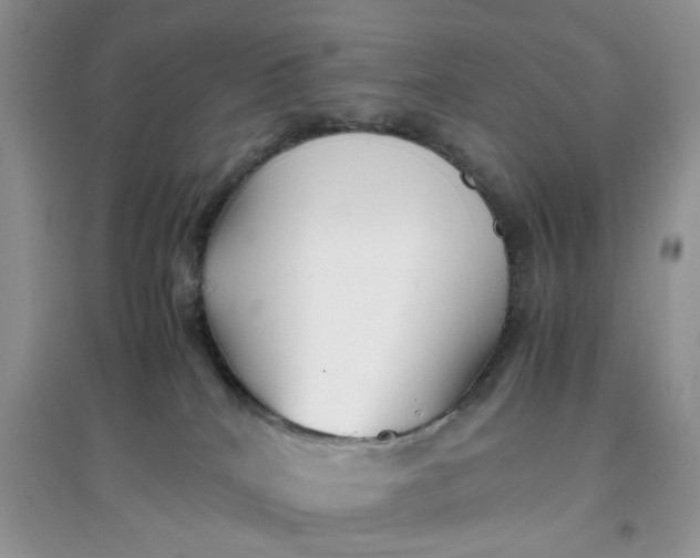 X0000097640040200803142057