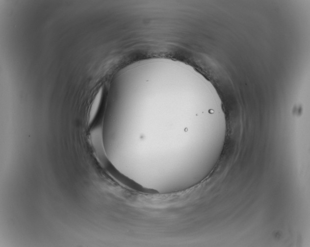 X0000097640041200803142057