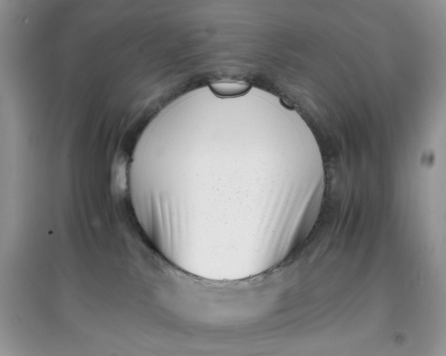 X0000097640042200803142057