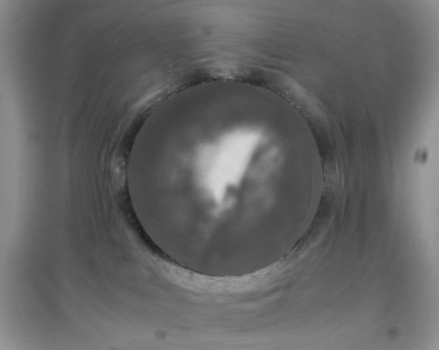 X0000097640043200803142057