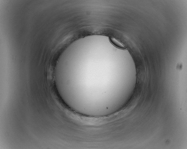 X0000097640044200803142057