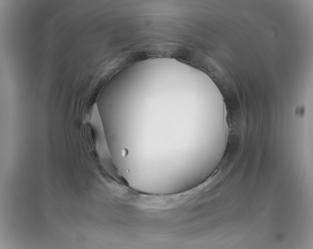 X0000097640045200803142057