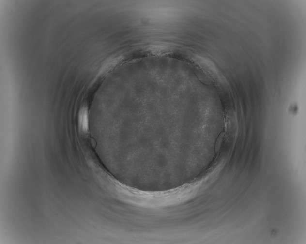 X0000097640046200803142057