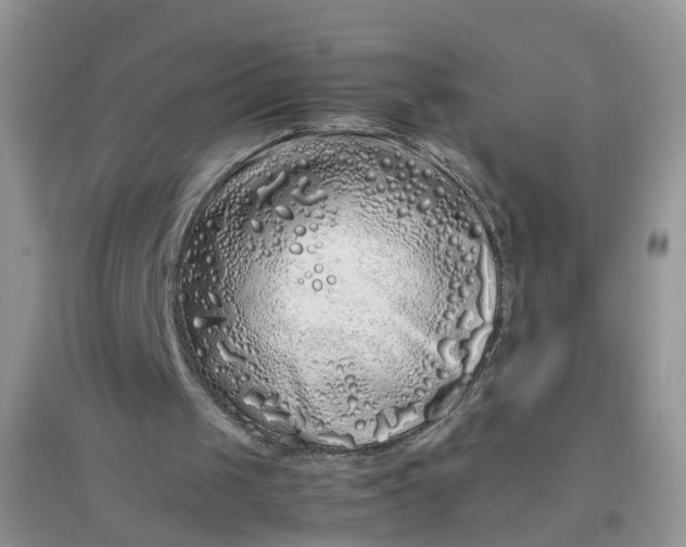 X0000097640049200803142056