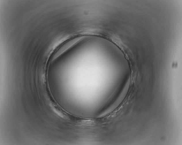 X0000097640050200803142056