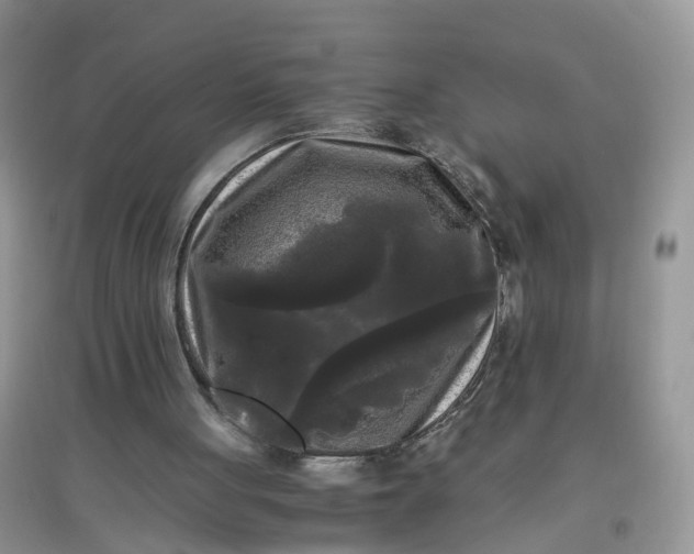 X0000097640051200803142056