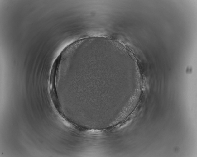 X0000097640052200803142056