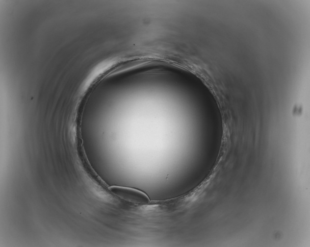 X0000097640054200803142056