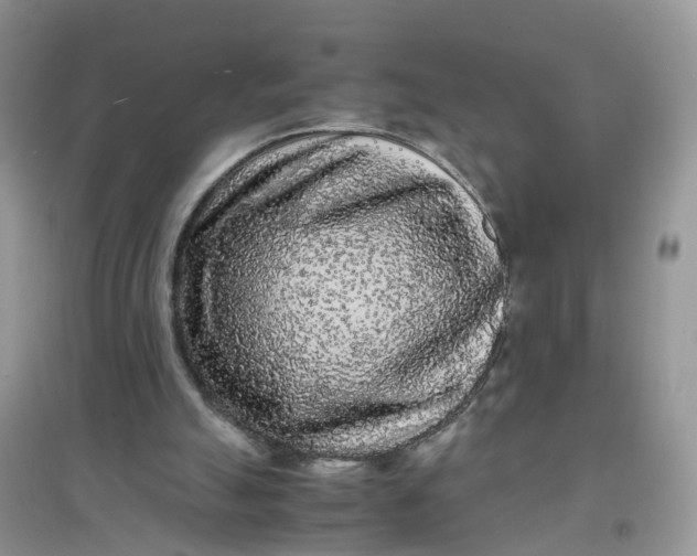 X0000097640055200803142056