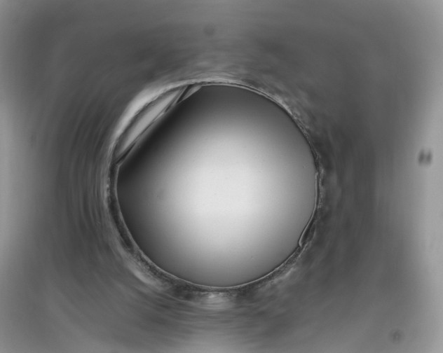 X0000097640056200803142056