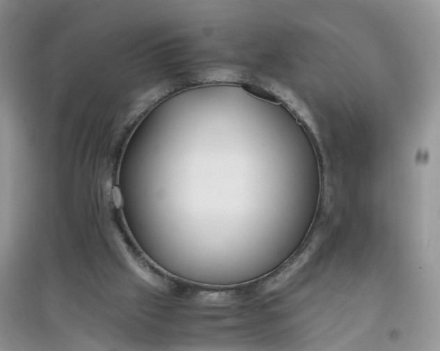 X0000097640057200803142056