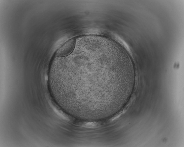 X0000097640059200803142056