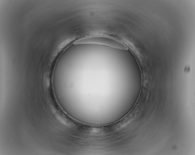 X0000097640060200803142056