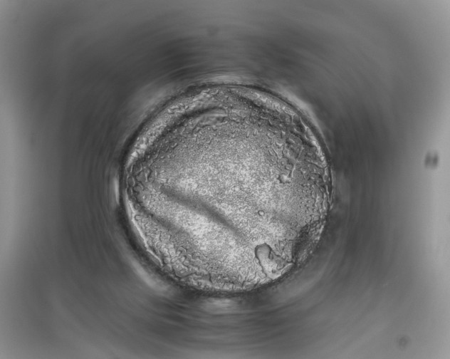 X0000097640061200803142056