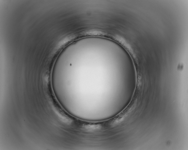 X0000097640063200803142056