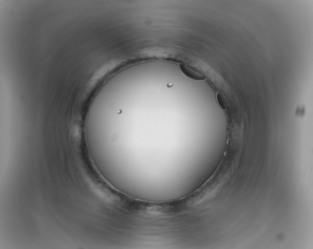 X0000097640064200803142056