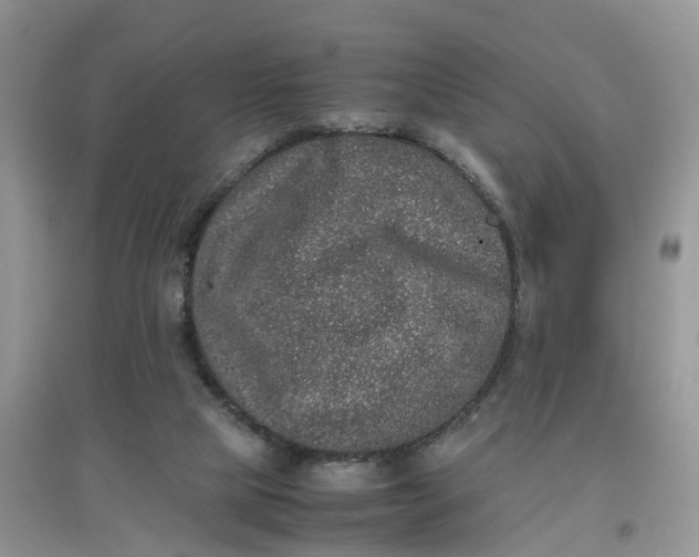 X0000097640065200803142056