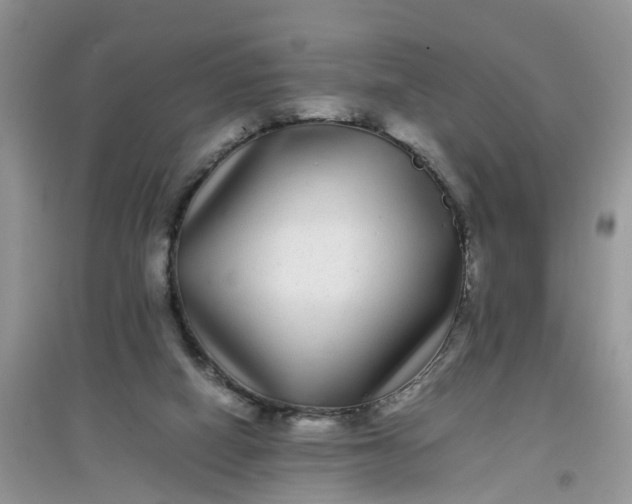 X0000097640066200803142056