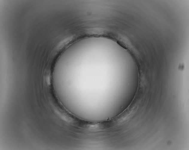 X0000097640068200803142056