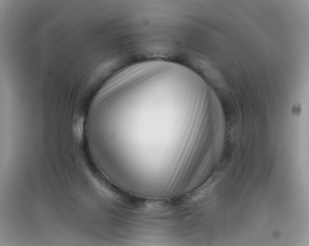 X0000097640070200803142056