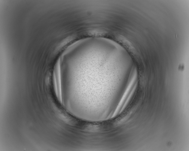 X0000097640071200803142056