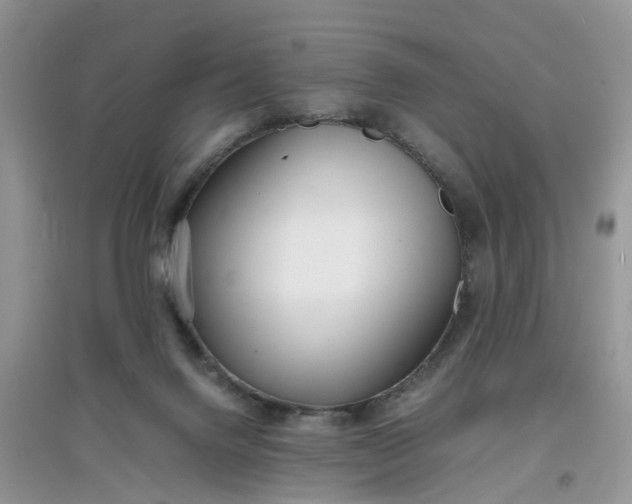 X0000097640072200803142056