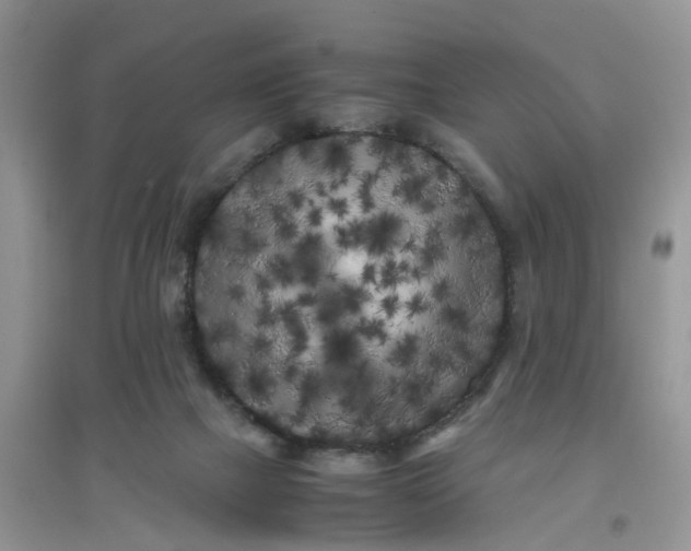 X0000097640073200803142056