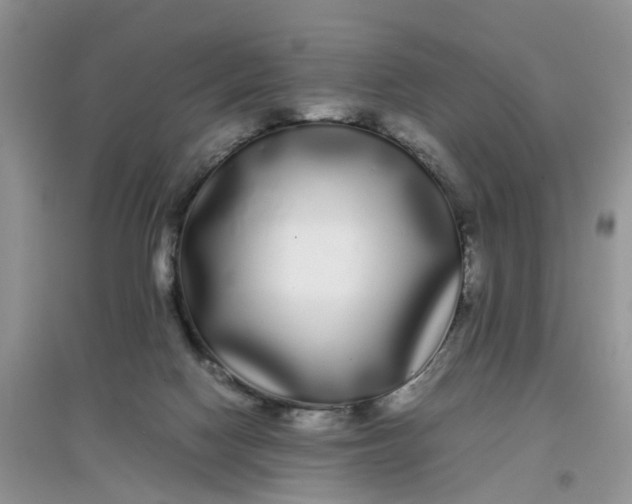 X0000097640074200803142056