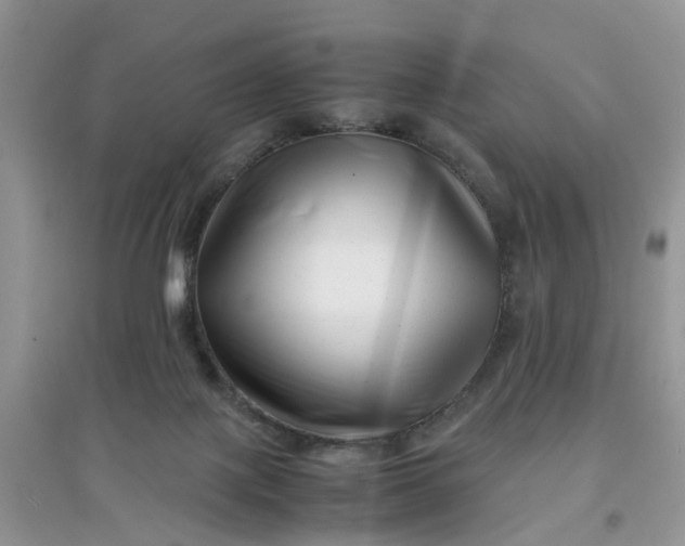 X0000097640075200803142056