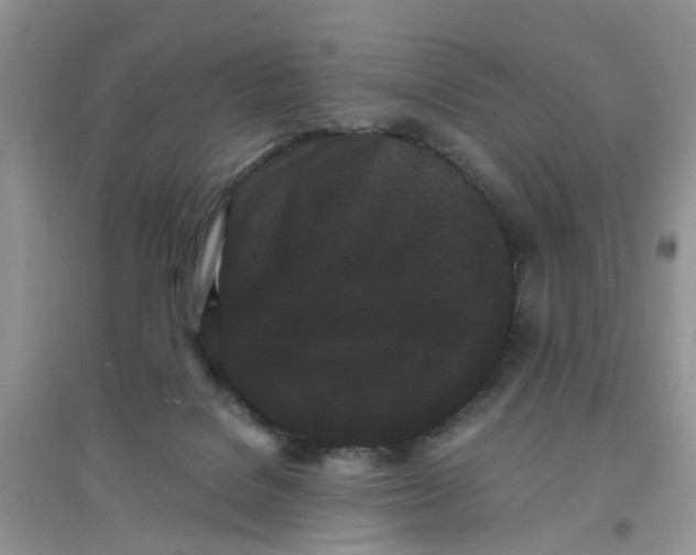 X0000097640076200803142056