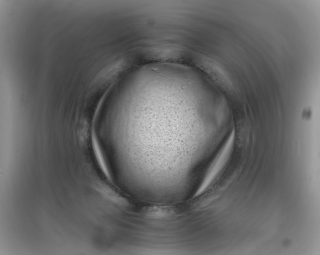 X0000097640077200803142057