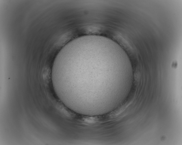 X0000097640079200803142057