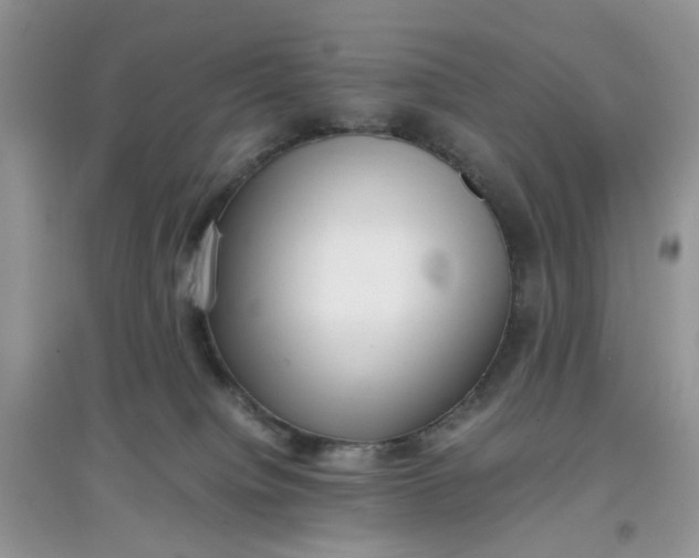 X0000097640084200803142057