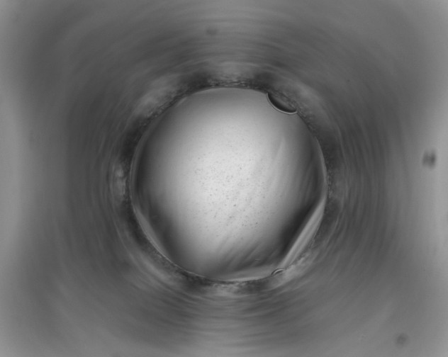 X0000097640086200803142057