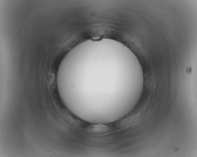 X0000097640087200803142057