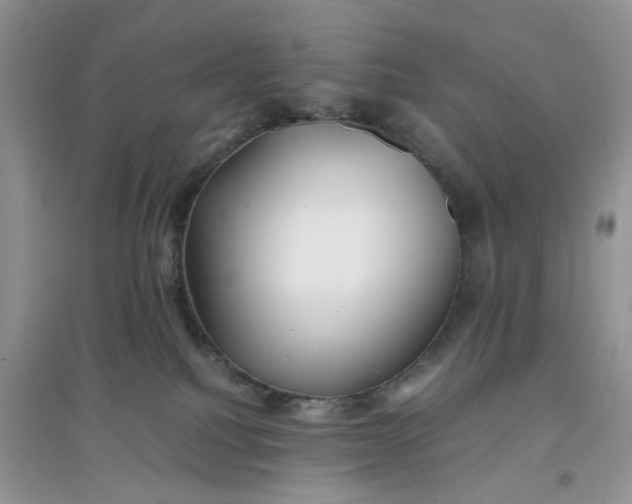 X0000097640088200803142057