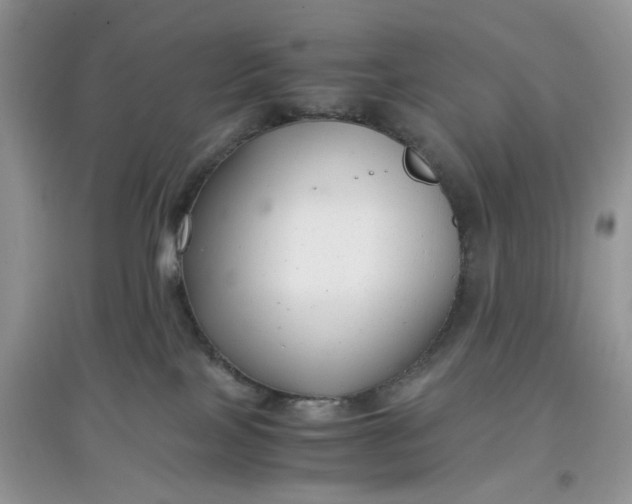 X0000097640089200803142057