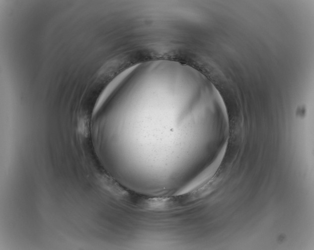 X0000097640090200803142057