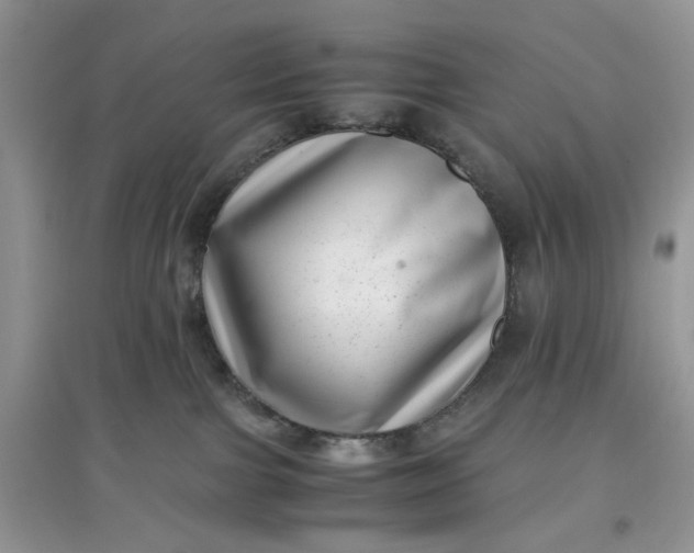 X0000097640091200803142057