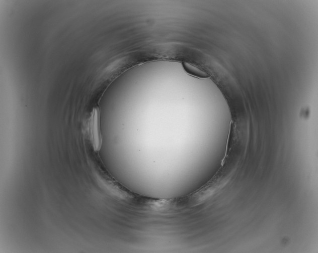 X0000097640092200803142057