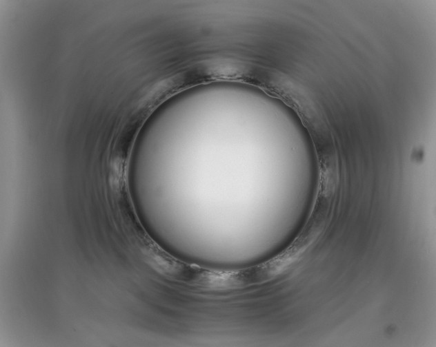 X0000097640093200803142057