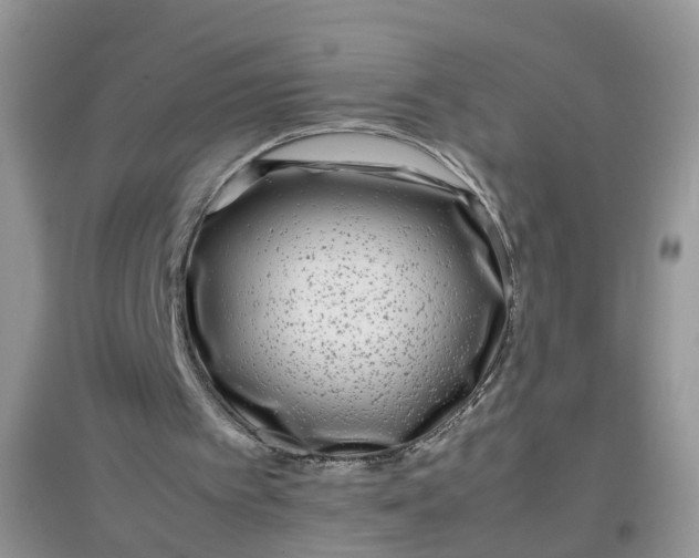 X0000097640097200803142056