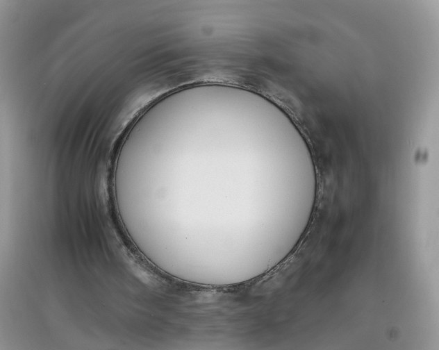 X0000097640098200803142056