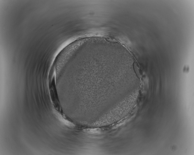 X0000097640100200803142056