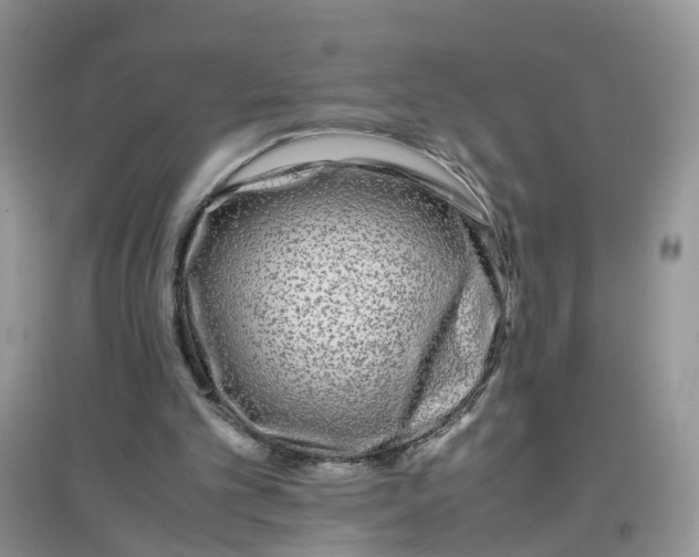 X0000097640101200803142056