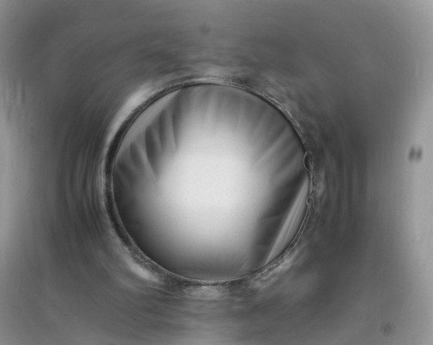 X0000097640102200803142056