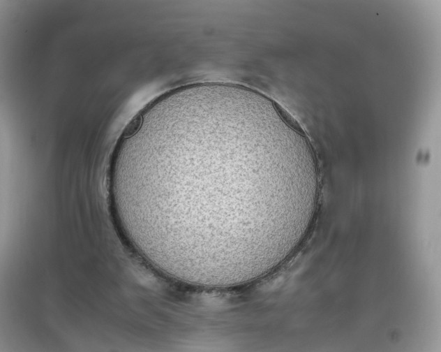 X0000097640103200803142056