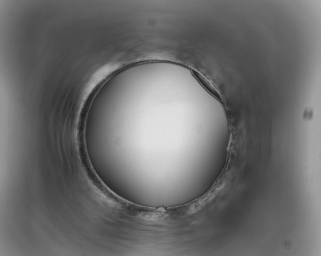 X0000097640104200803142056